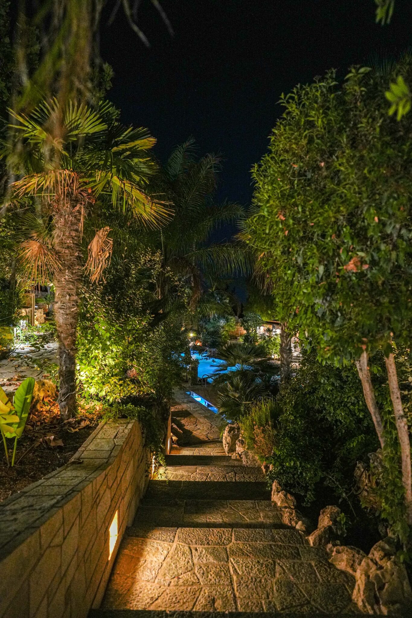 Φωτισμένα πέτρινα σκαλοπάτια μέσα στον νυχτερινό κήπο